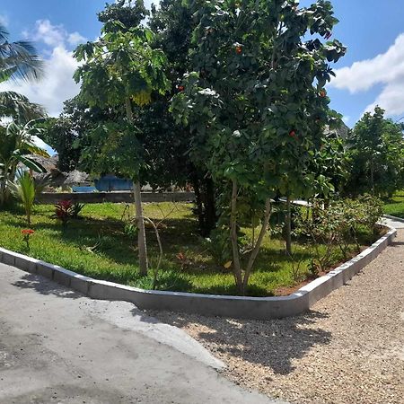 Отель Africa Dream Bungalow Kiwengwa Кивенгва Экстерьер фото