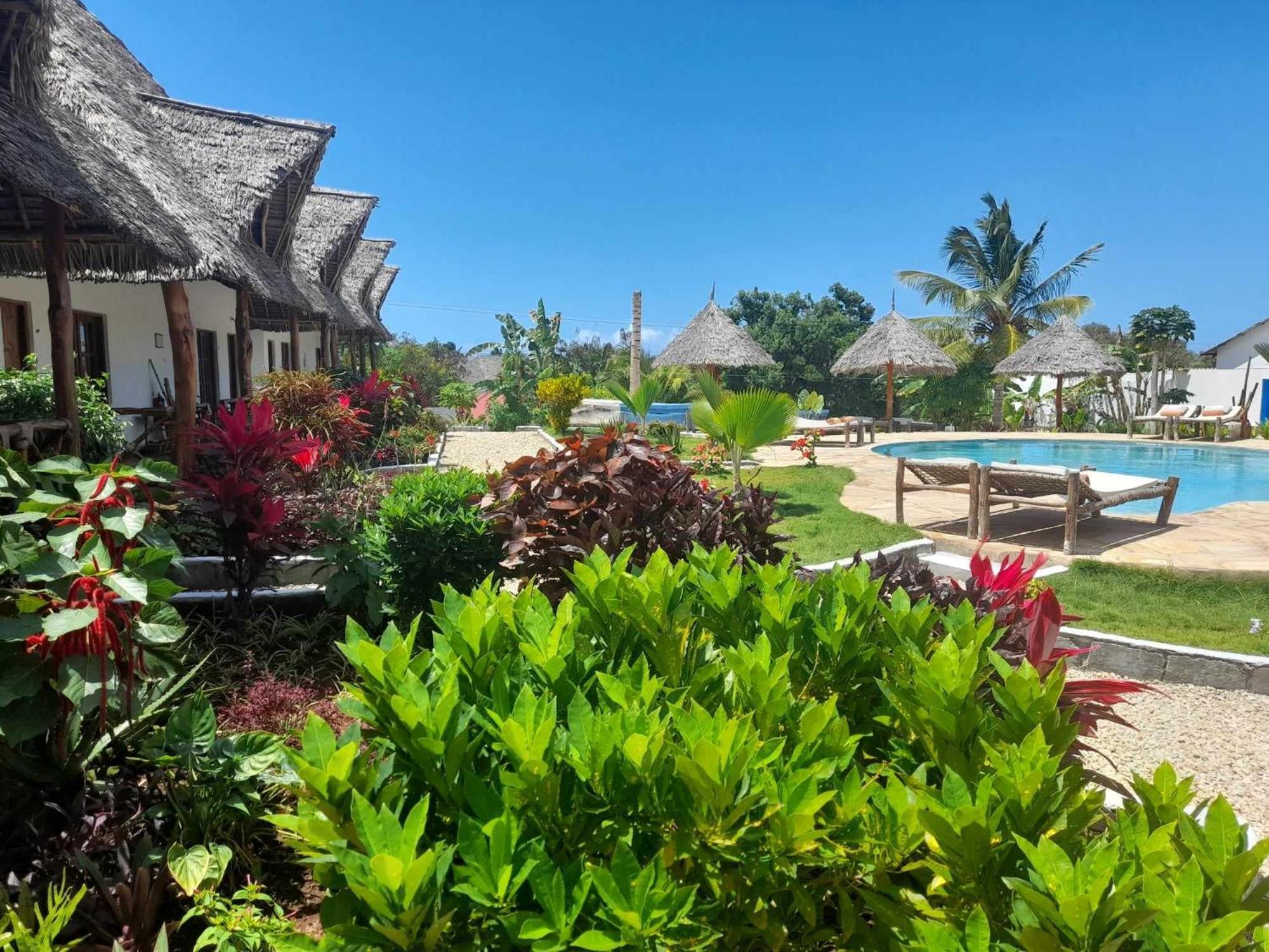 Отель Africa Dream Bungalow Kiwengwa Кивенгва Экстерьер фото